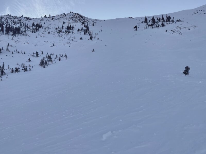 Marmot Basin, Jasper, Canada. Image © PlanetSKI